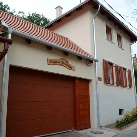 Borudvar Vendeghaz Ii Pensiune Tokaj