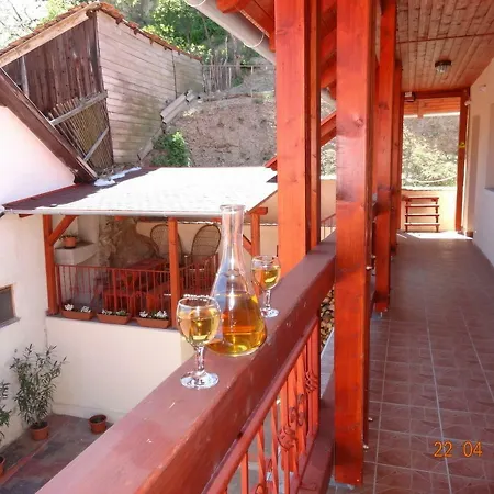 Borudvar Ii Penzion Tokaj