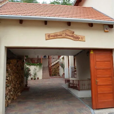 Borudvar Vendeghaz Ii Guest house