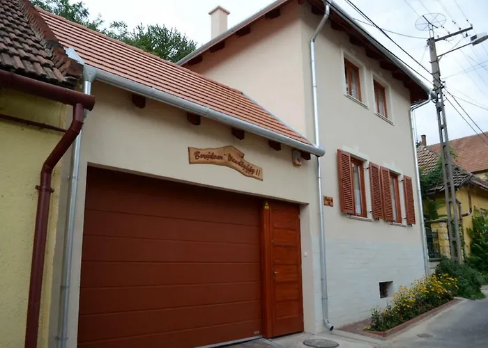 Borudvar Vendeghaz Ii Πανσιόν Tokaj