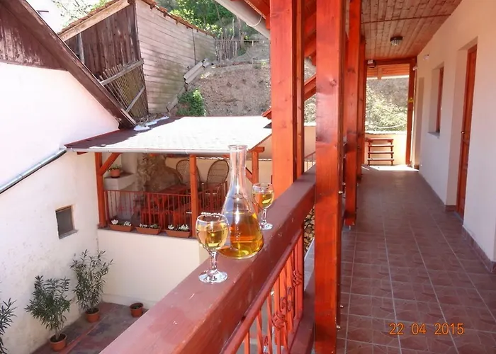 Borudvar Vendeghaz Ii Πανσιόν Tokaj