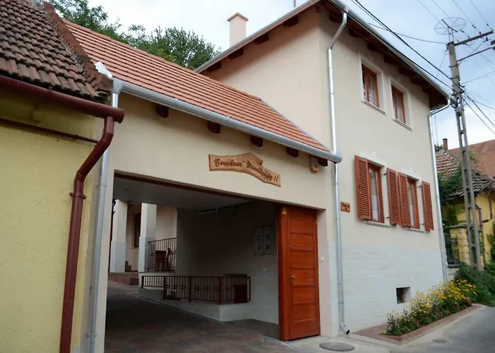 Borudvar Vendeghaz Ii * Tokaj